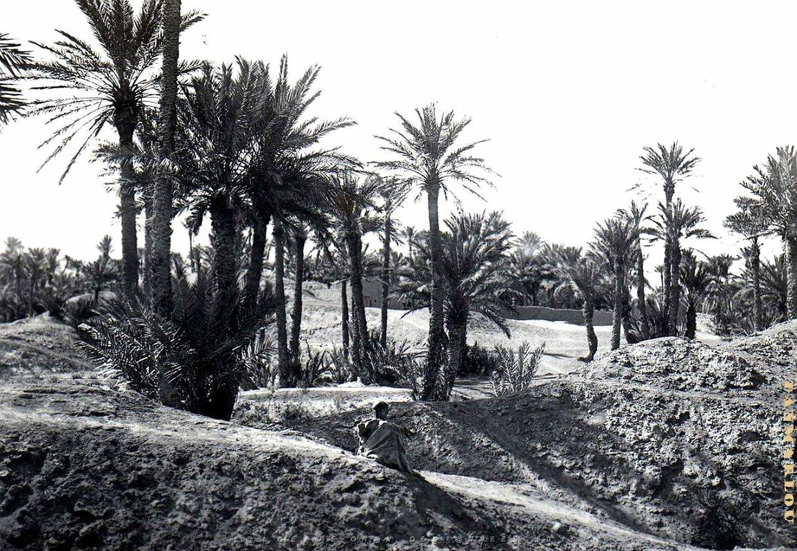 Sud oranais 009-Monneret.jpg